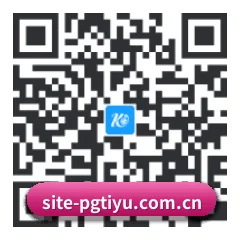 系统版 iOS 二维码